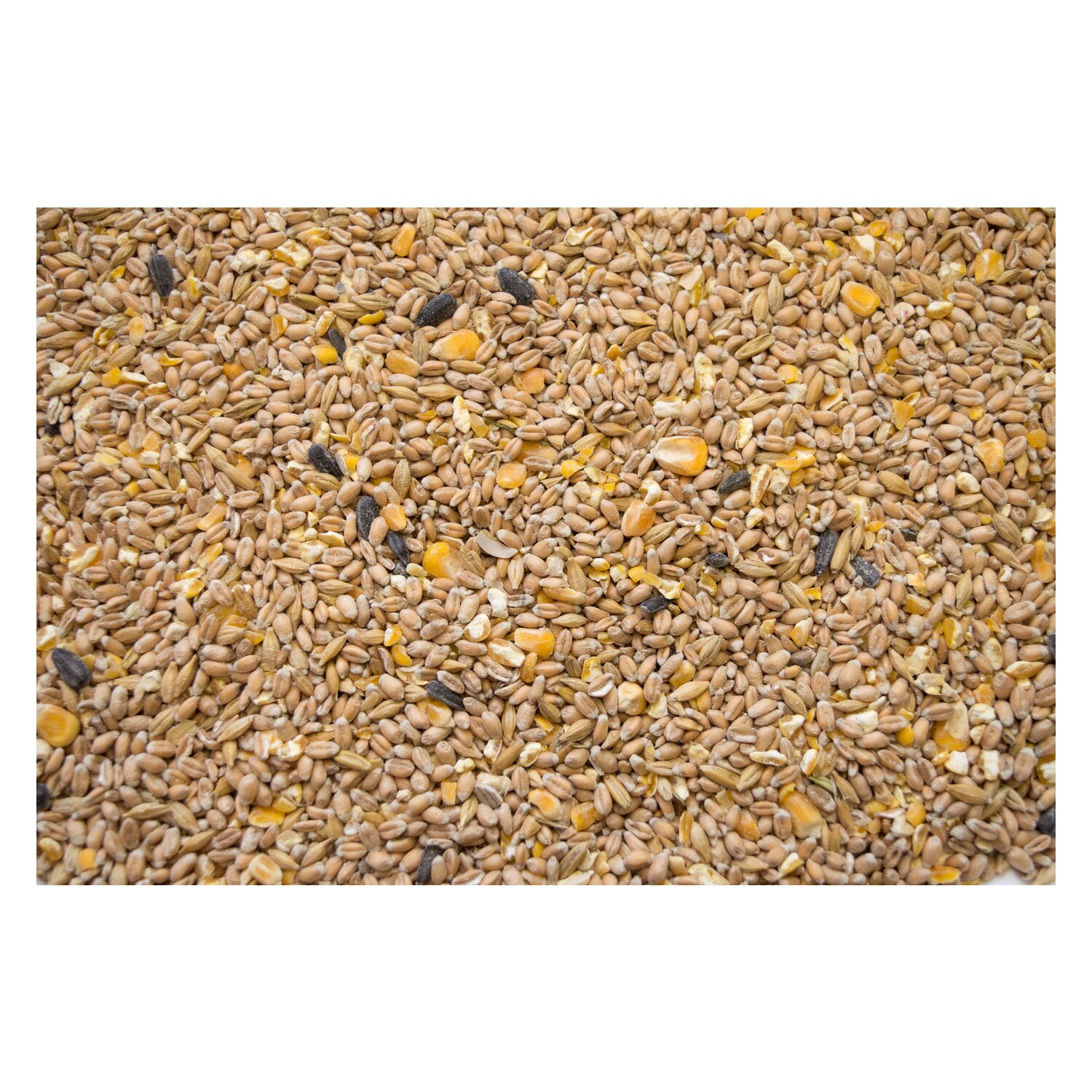 My little Farm Bio-Hennenkorn  - 2 kg