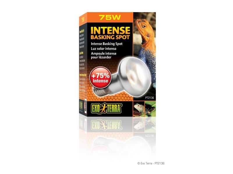 Exo Terra Terrarienlampe Intense Basking Spot E27, R20/75W Wärmespotlampe