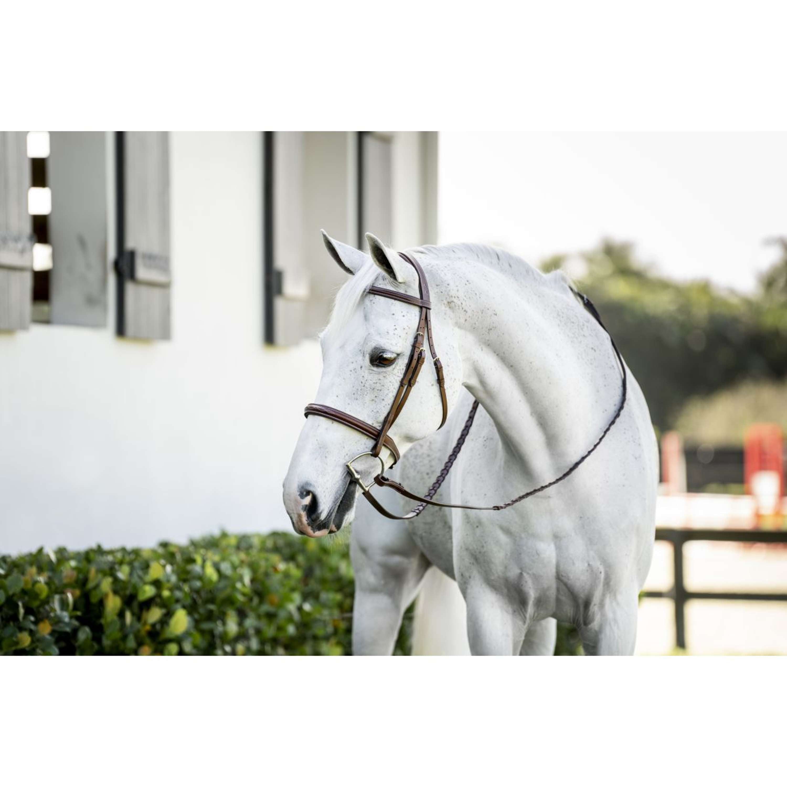 Horseware Hoofdstel Pony Hunter Cavesson met Teugels Dark Tan