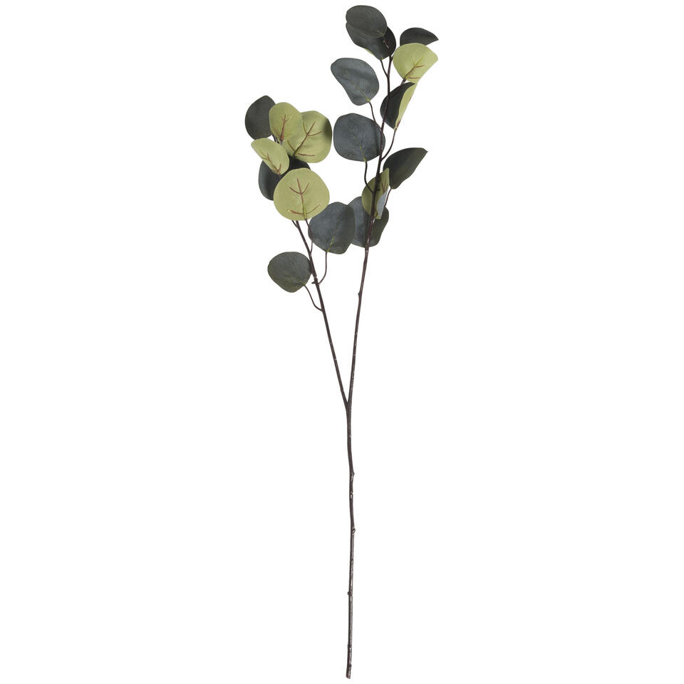 Kunsttak Eucalyptus Groen