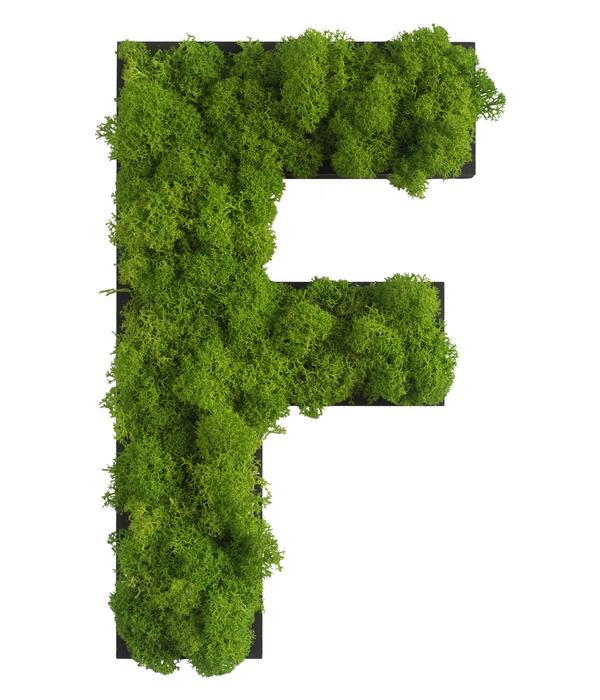 styleGREEN Buchstaben aus Islandmoos, ca. H25