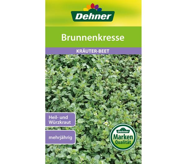 Dehner Samen Brunnenkresse