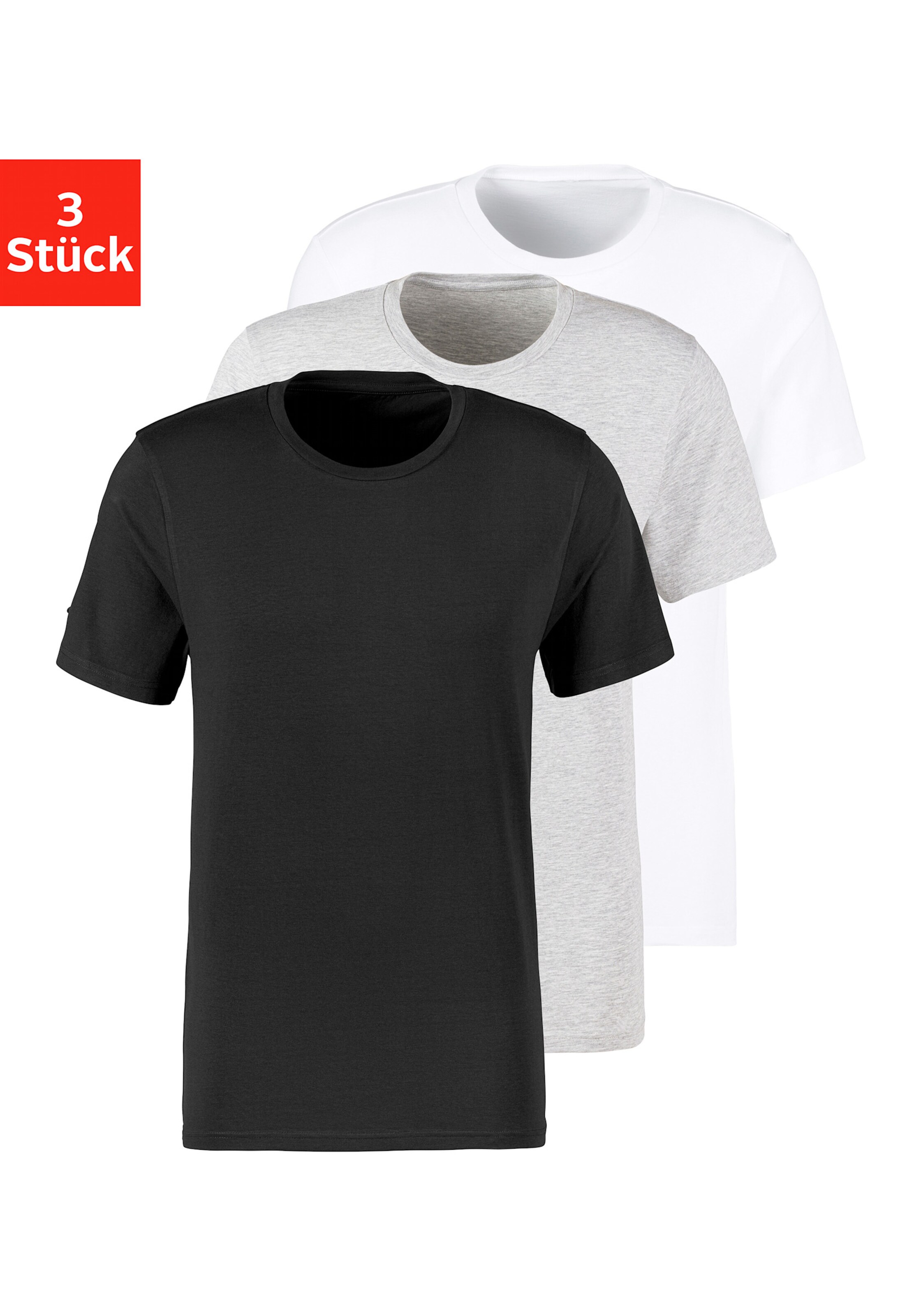 Bruno Banani T-Shirt in schwarz, grau-meliert, weiß