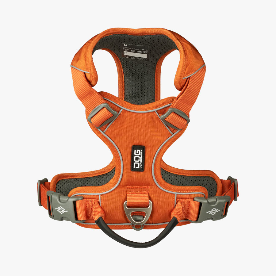 Coleira para cães Dog Copenhagen Comfort Walk Pro laranja