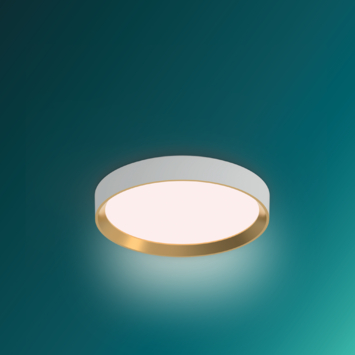 Philips plafonnière Hanno zwart met scene switch 24W