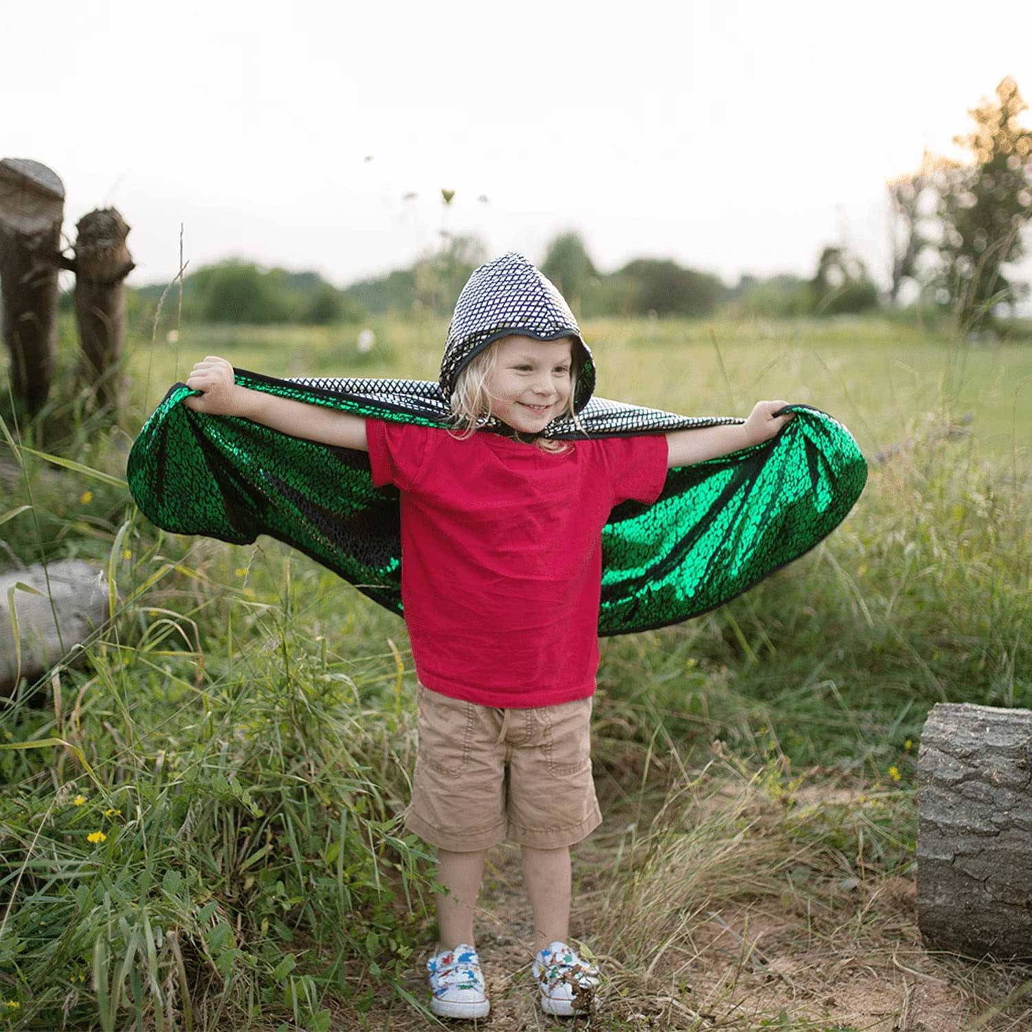 Cape Ridder/Draak Omkeerbaar, 5-6 jaar