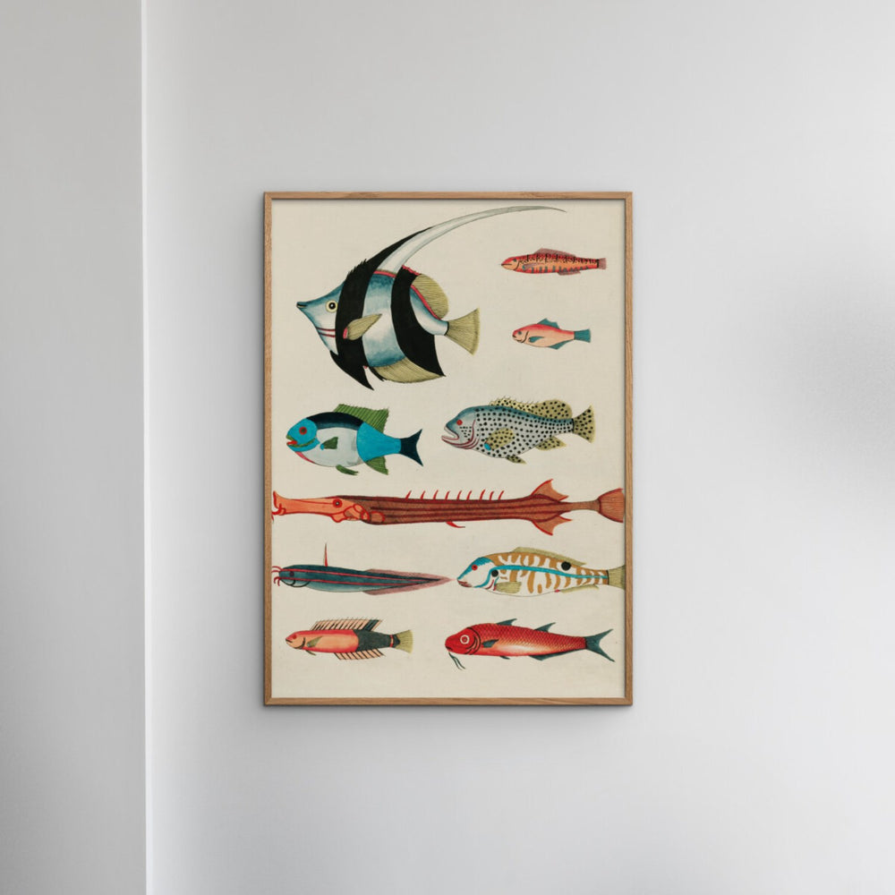 Køb Poster & Frame Louis Renard - Colorful Fishes Lll