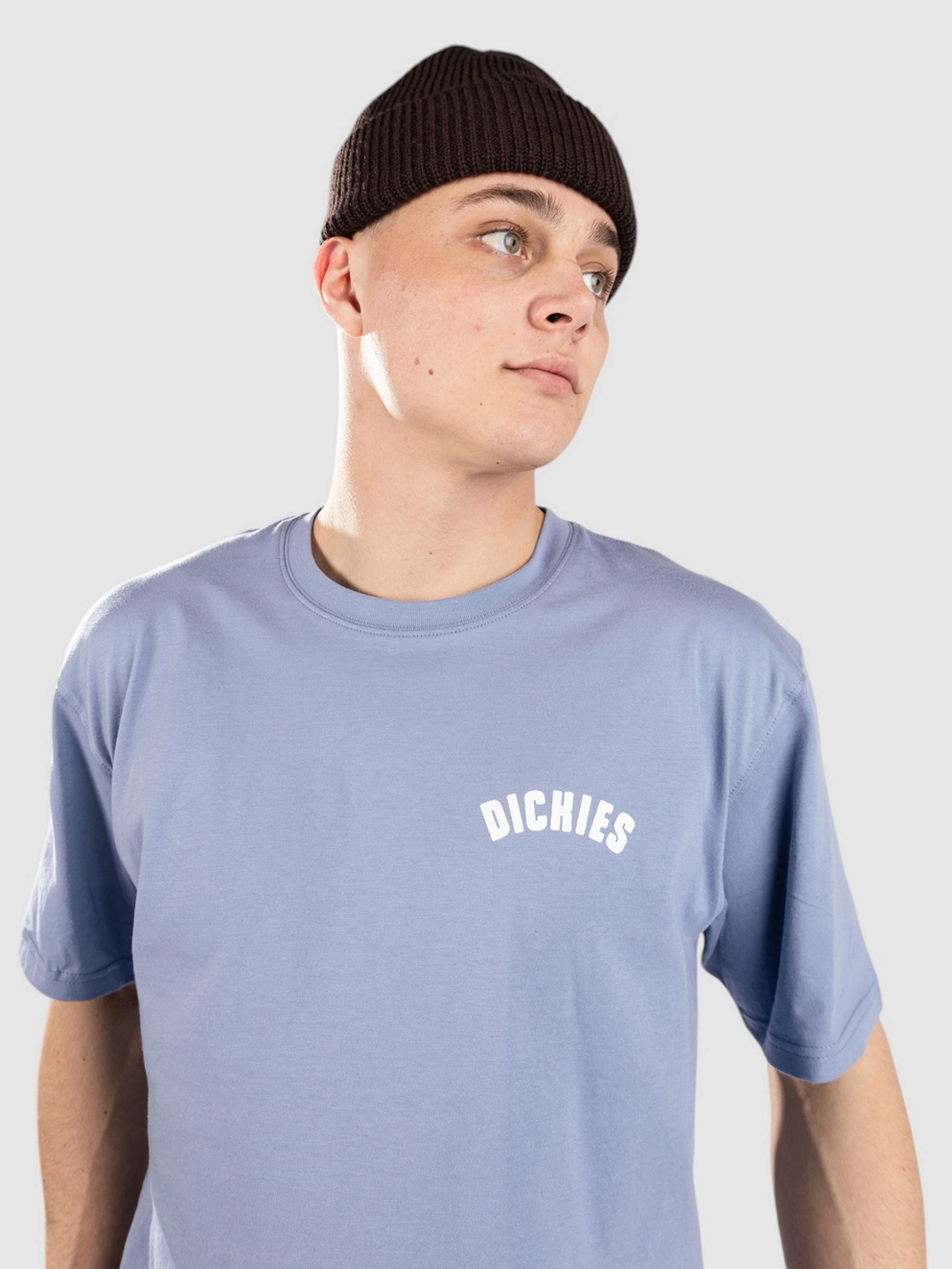 Dickies Circle Logo T-Shirt country blue