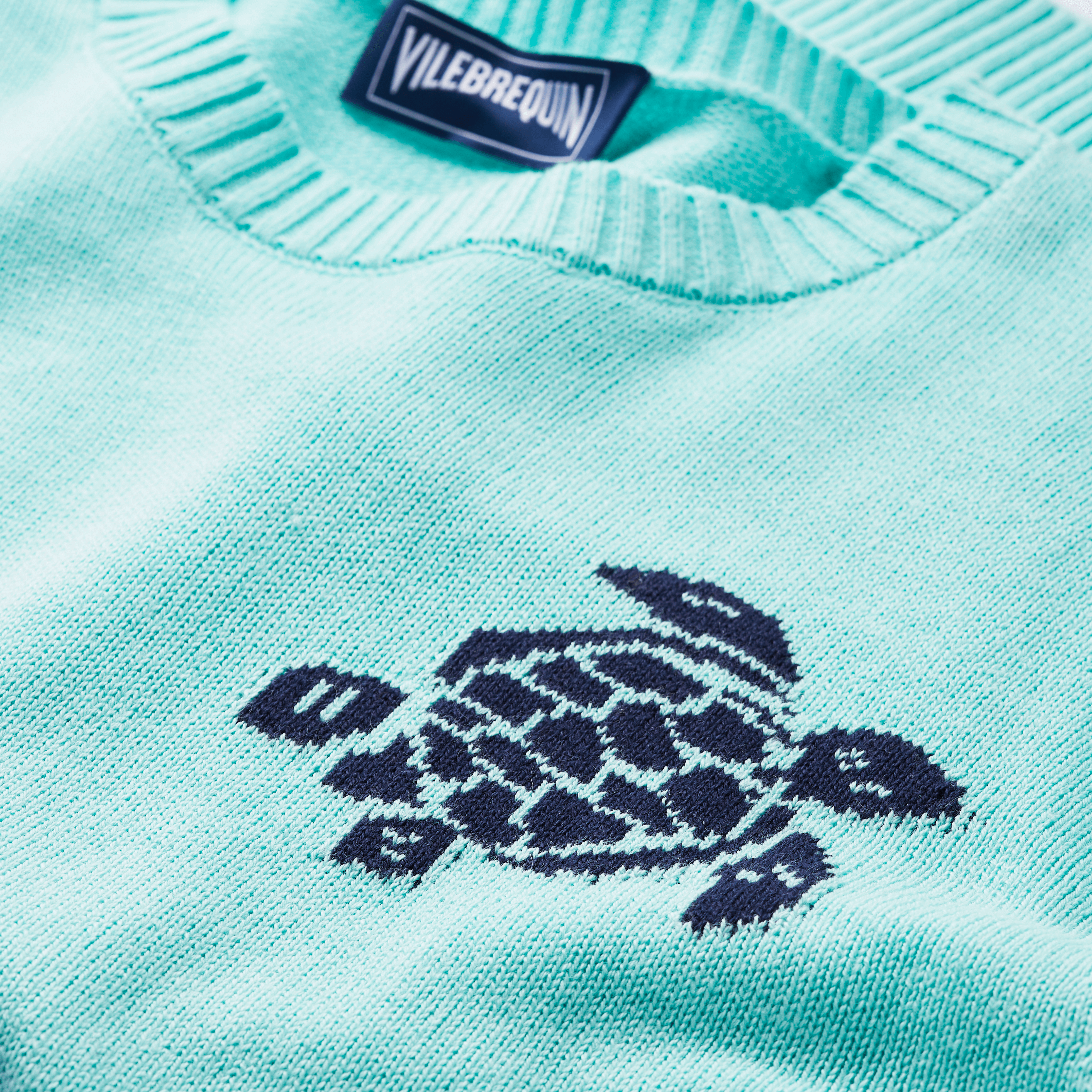 Pullover en Coton et Cachemire Ras-du-Cou Homme Tortue