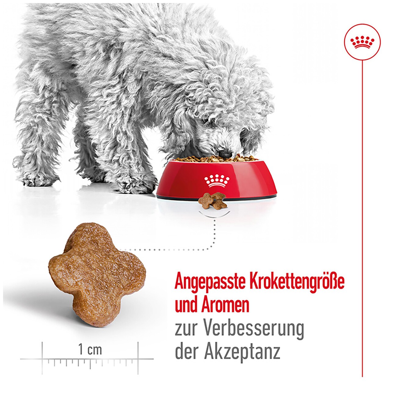 ROYAL CANIN Mini Adult 8+ 2 kg