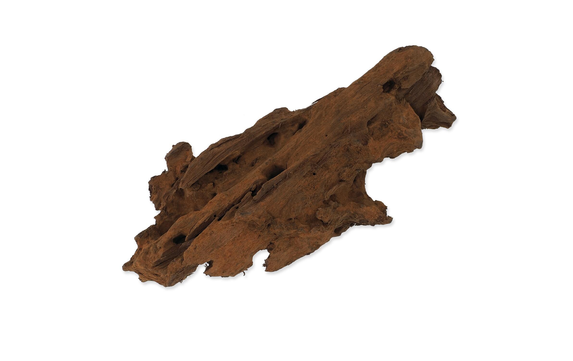 Drift Wood Bulk XS, 19-23 cmSchwemmholz für Terrarien und Aquarien
