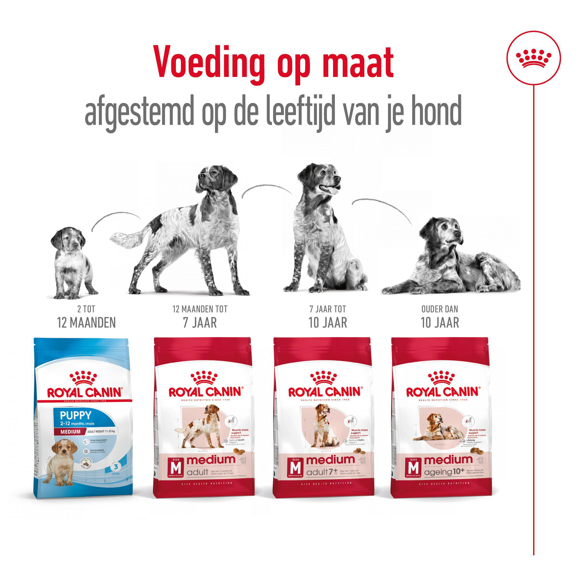 Royal Canin Medium Adult - Hondenvoer