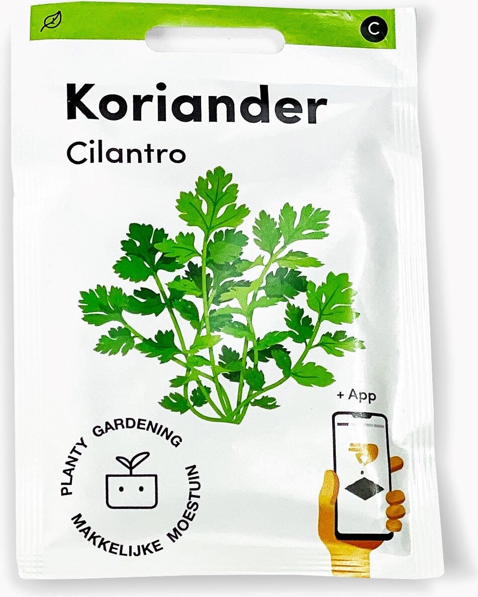 Makkelijke Moestuin kruidenzaad Koriander (Coriandrum sativum)