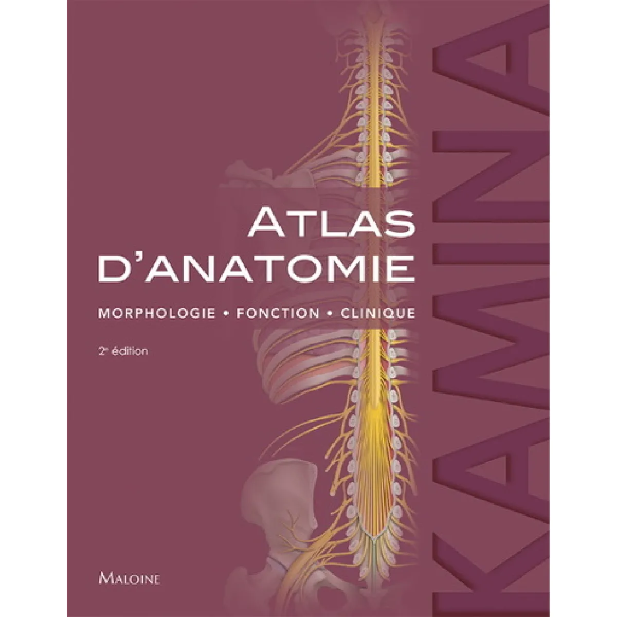 Atlas d'anatomie : morphologie, fonction, clinique