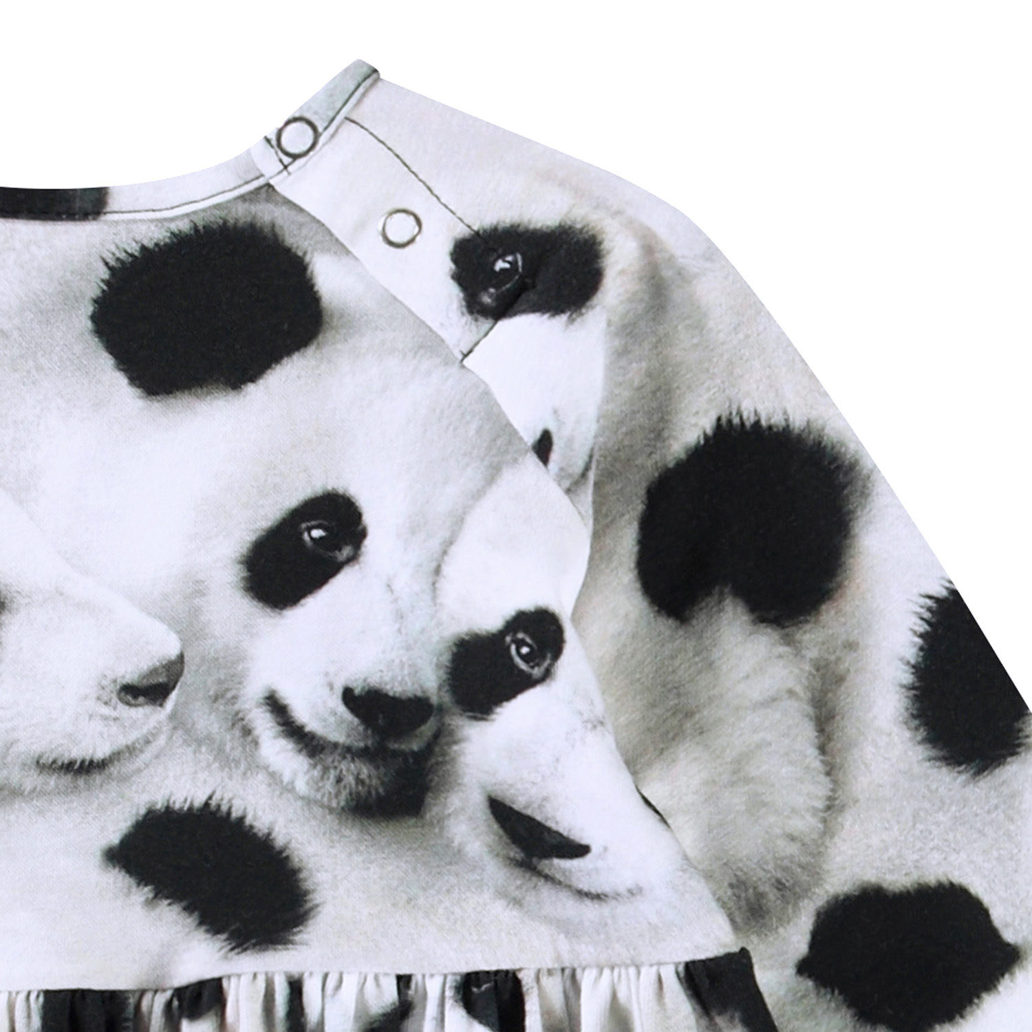 Charmaine - Giant Panda