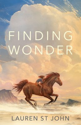 Finding Wonder (Paperback)