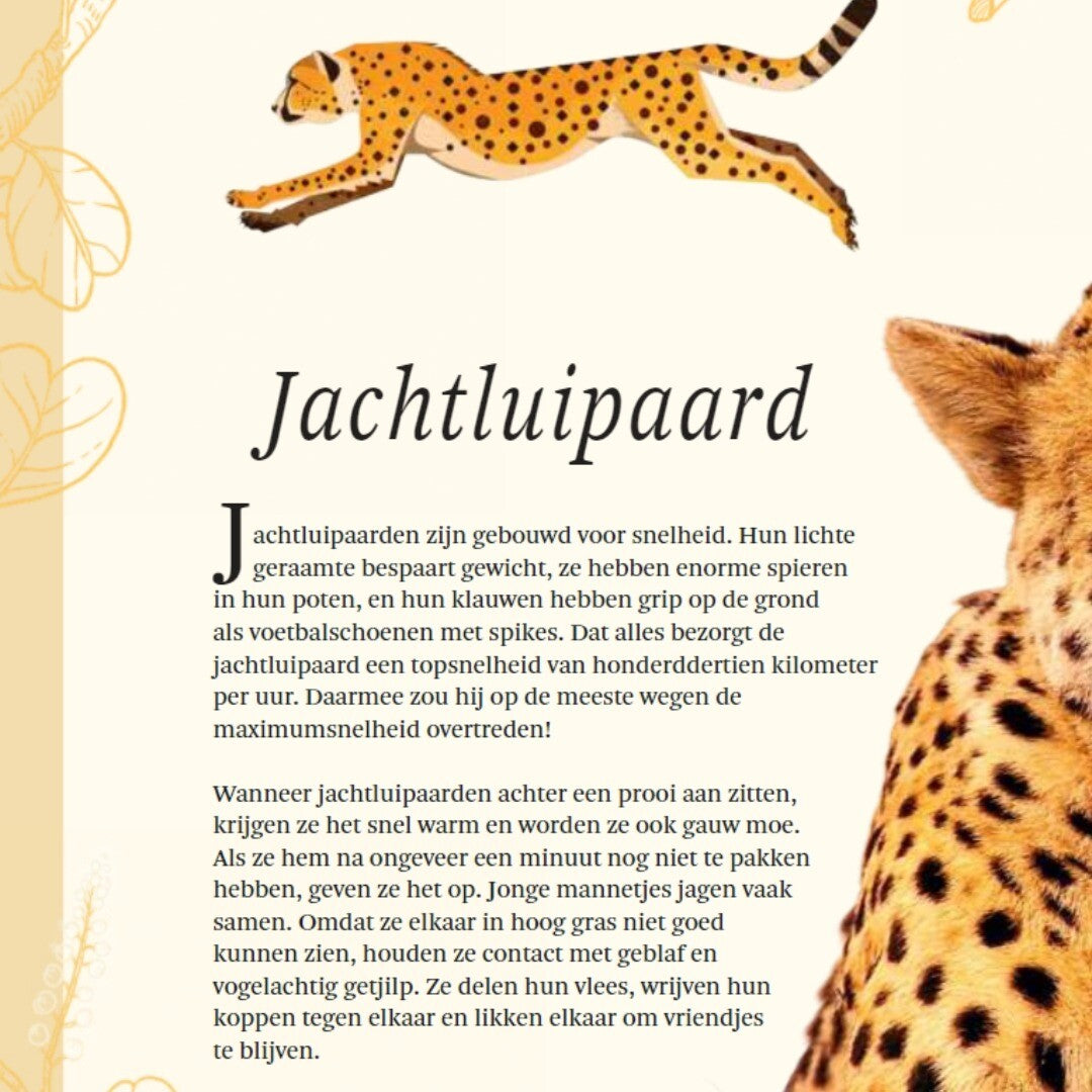 Uitgeverij lannoo het dikke boek van alle bijzondere dieren