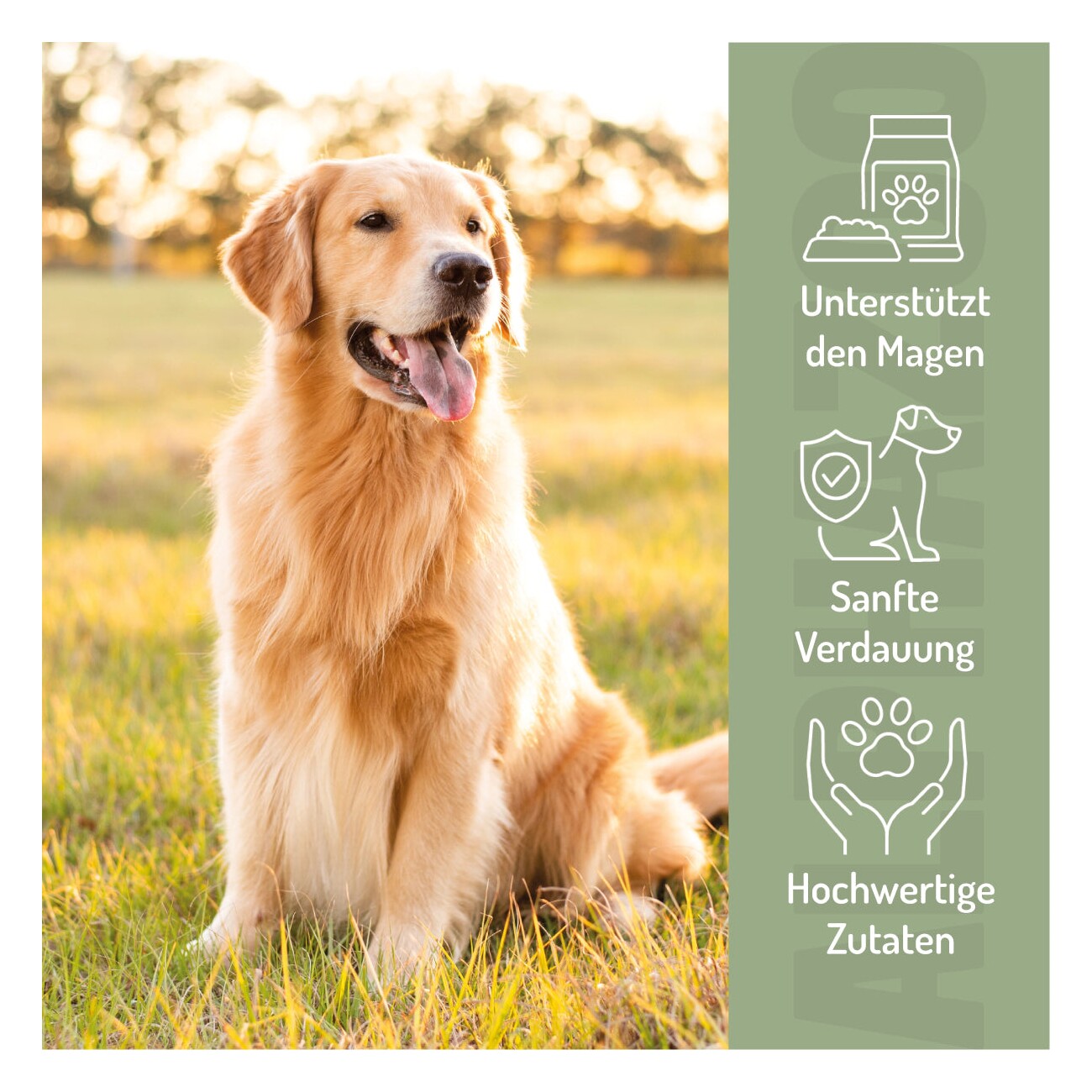 ALPHAZOO Fauchi Bauchi 60g I Funktionssnack für Magen & Darm