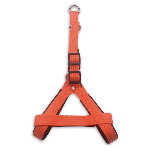 Coleira de nylon laranja para cães