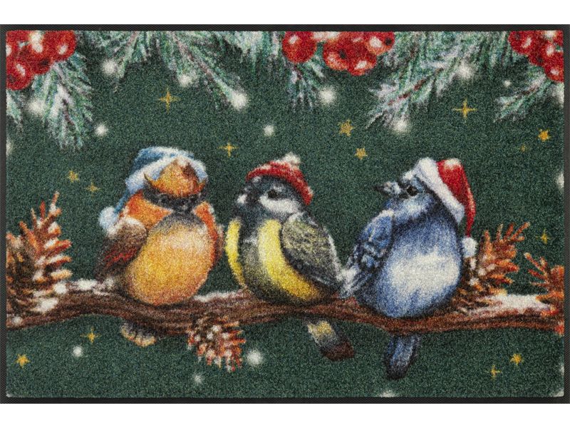 Fußmatte MAGIC BIRDS