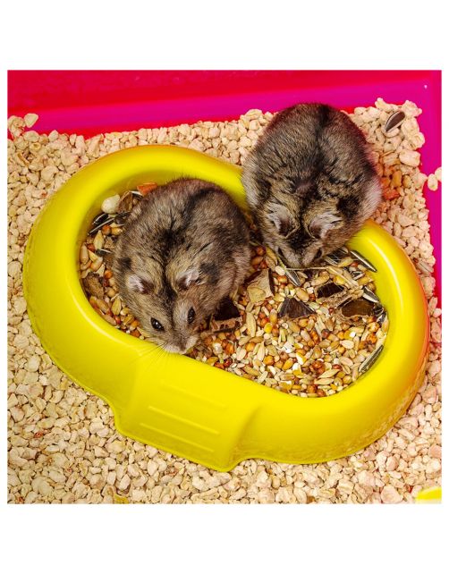 Ferplast Hamsterkooi Laura - Dierenverblijf - 46x29.5x37.5 cm Roze
