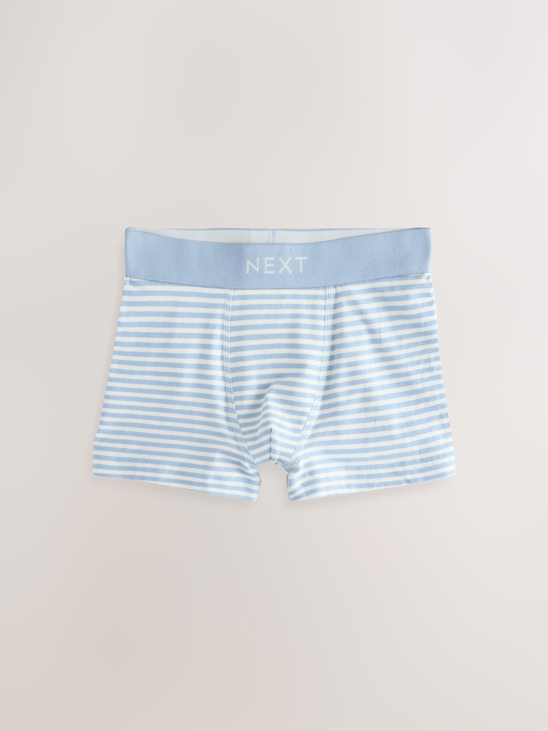 Blauw Mini Voertuig - Verpakking van 10 trunks (1,5-16jr)