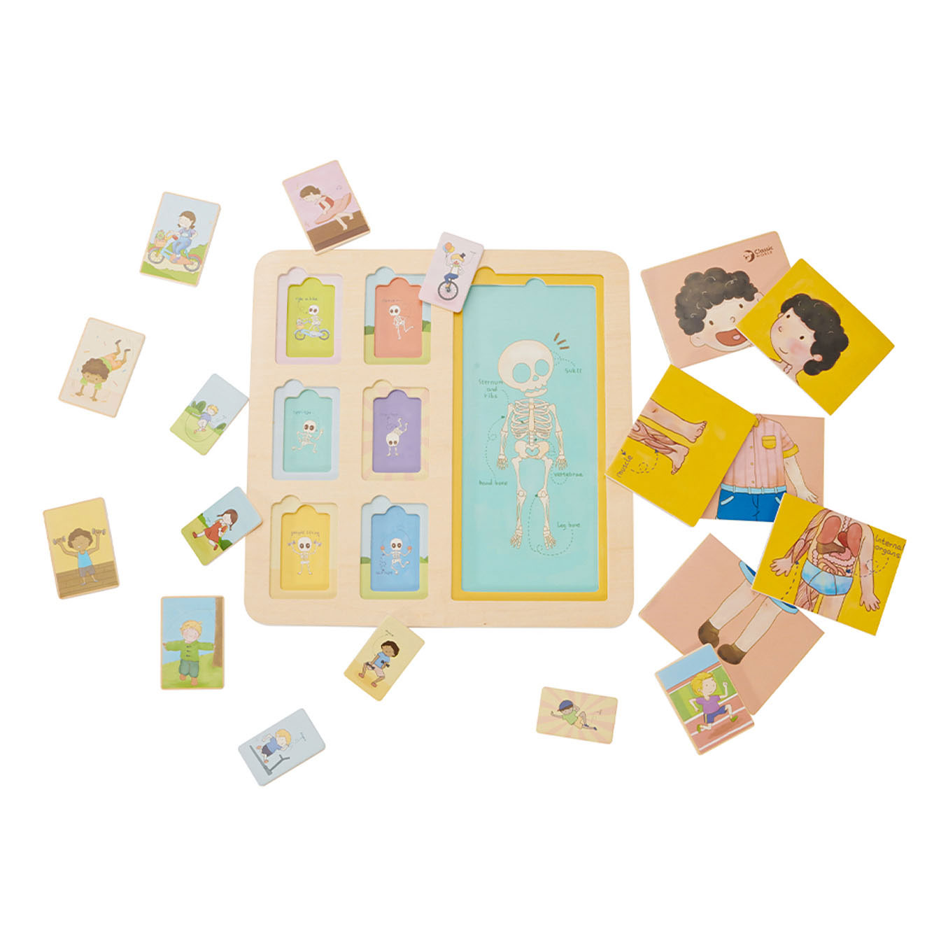 Houten Lagenpuzzel Lichaam, 19dlg.