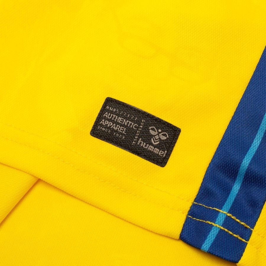 Brøndby IF Maillot Domicile 2024/25