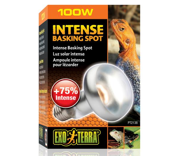 Exo Terra® Intense Basking Spot