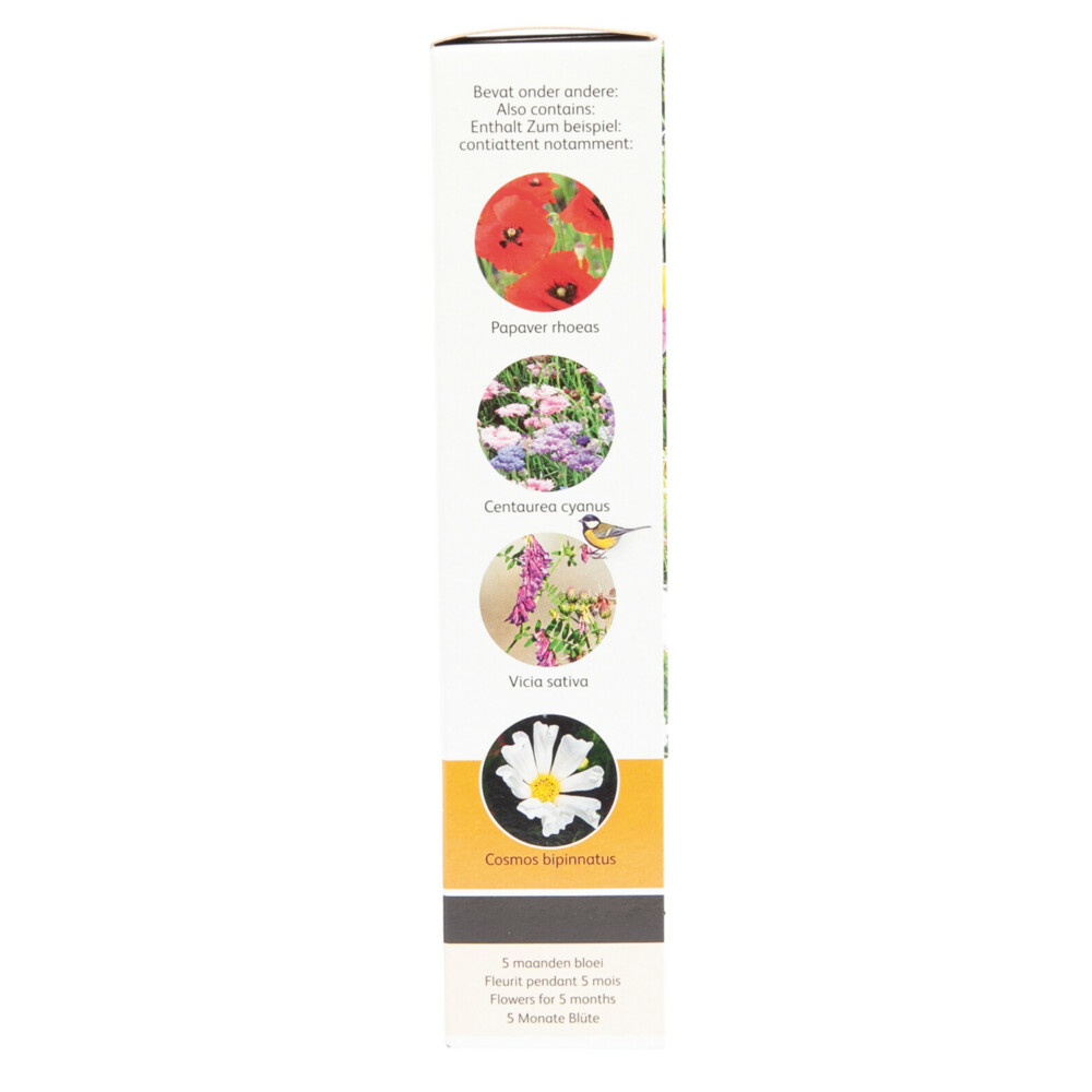 Buzzy Friendly Flowers 15 m² Vogels