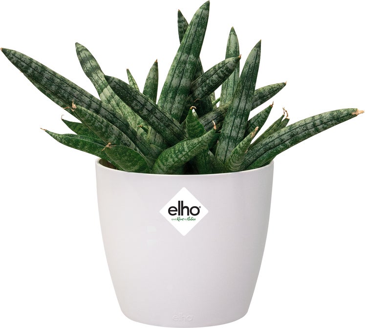 Elho bloempot Brussels wit D 10 H 8,9 cm