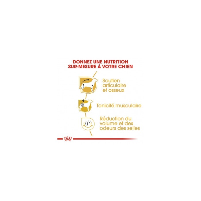 Royal Canin Teckel Adult (Dachshund) - Croquettes pour chien