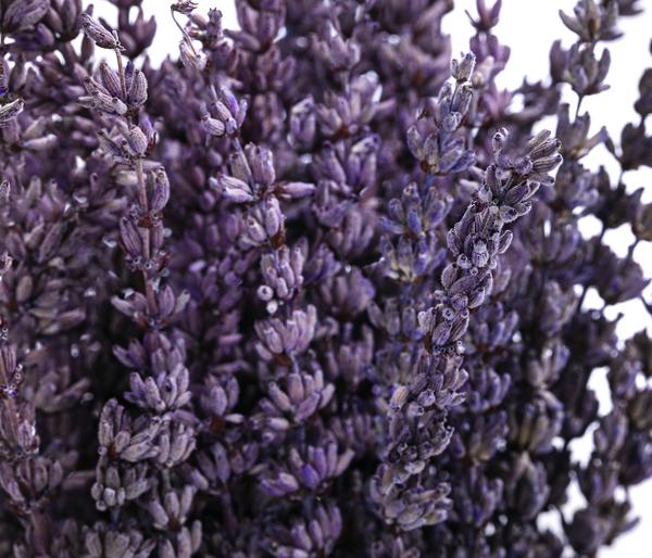 Trockenblumenbund Lavendel, 100g, ca. L45 cm