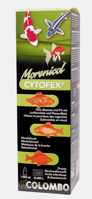 Morenicol Cytofex tegen bacteriële infecties