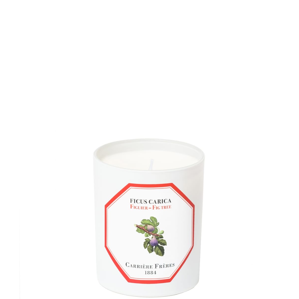 CARRIÈRE FRÈRES Figuier - Ficus Carica Bougie Parfumée