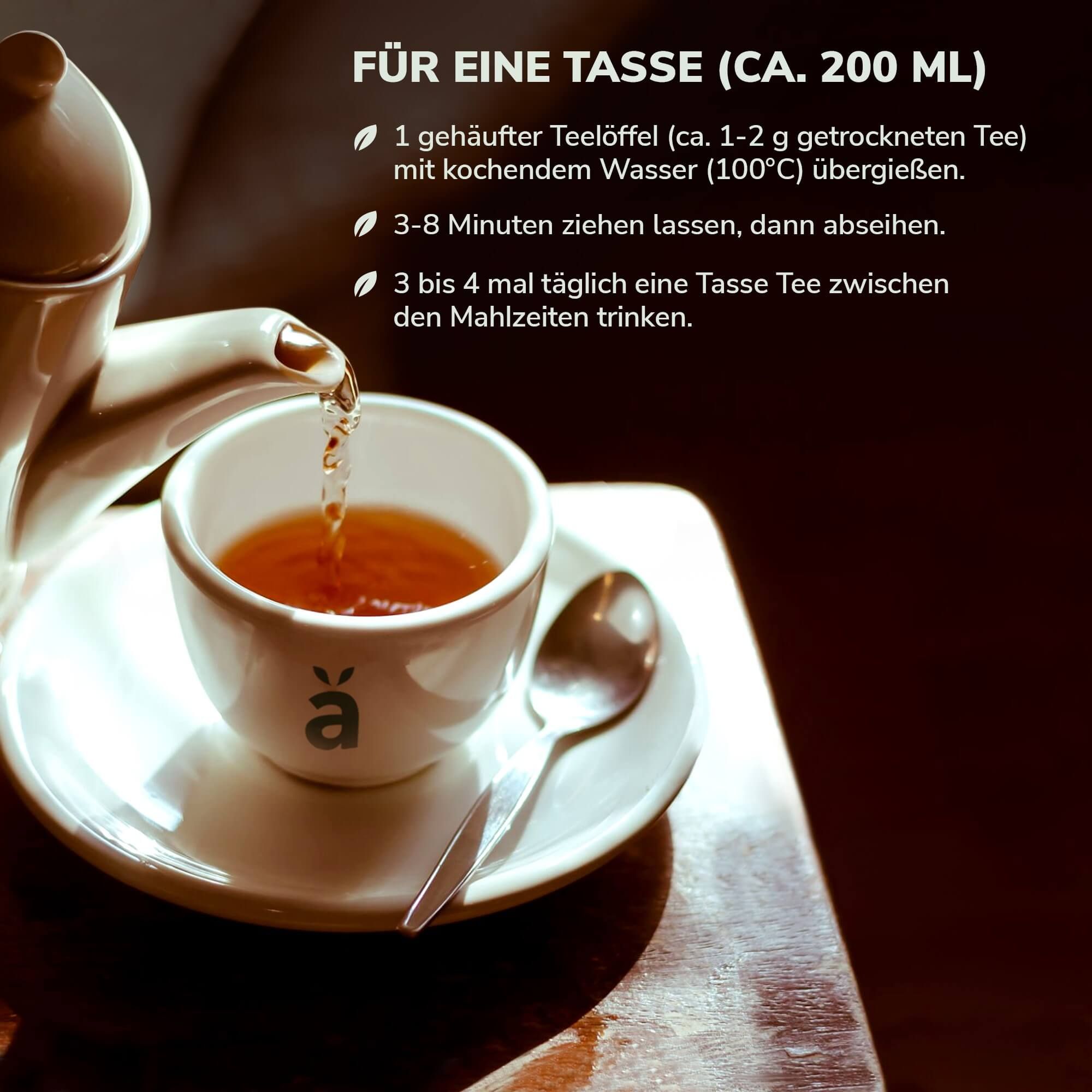 Kräutermax Grüner Sencha Tee