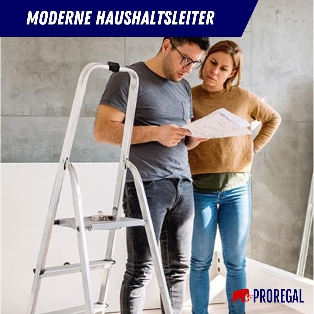 PROREGAL Economy Basic Trapladder, eenzijdig toegankelijk, 6 treden, werkhoogte 3,19 m, draagvermogen 125 kg