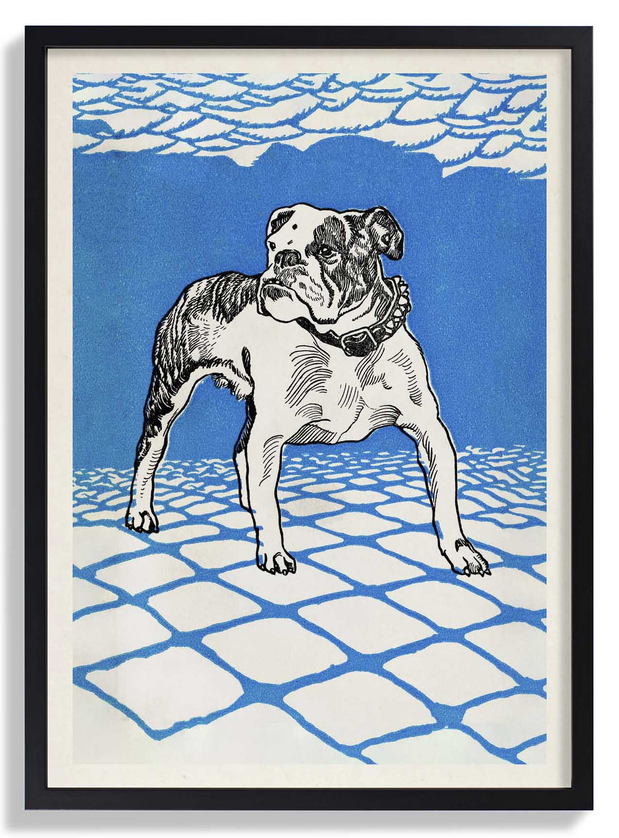 Bulldogge von Moritz Jung
