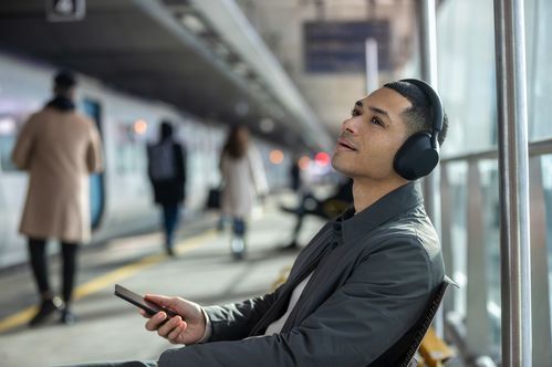 Sony WH-1000XM5 - Draadloze Koptelefoon - Zwart