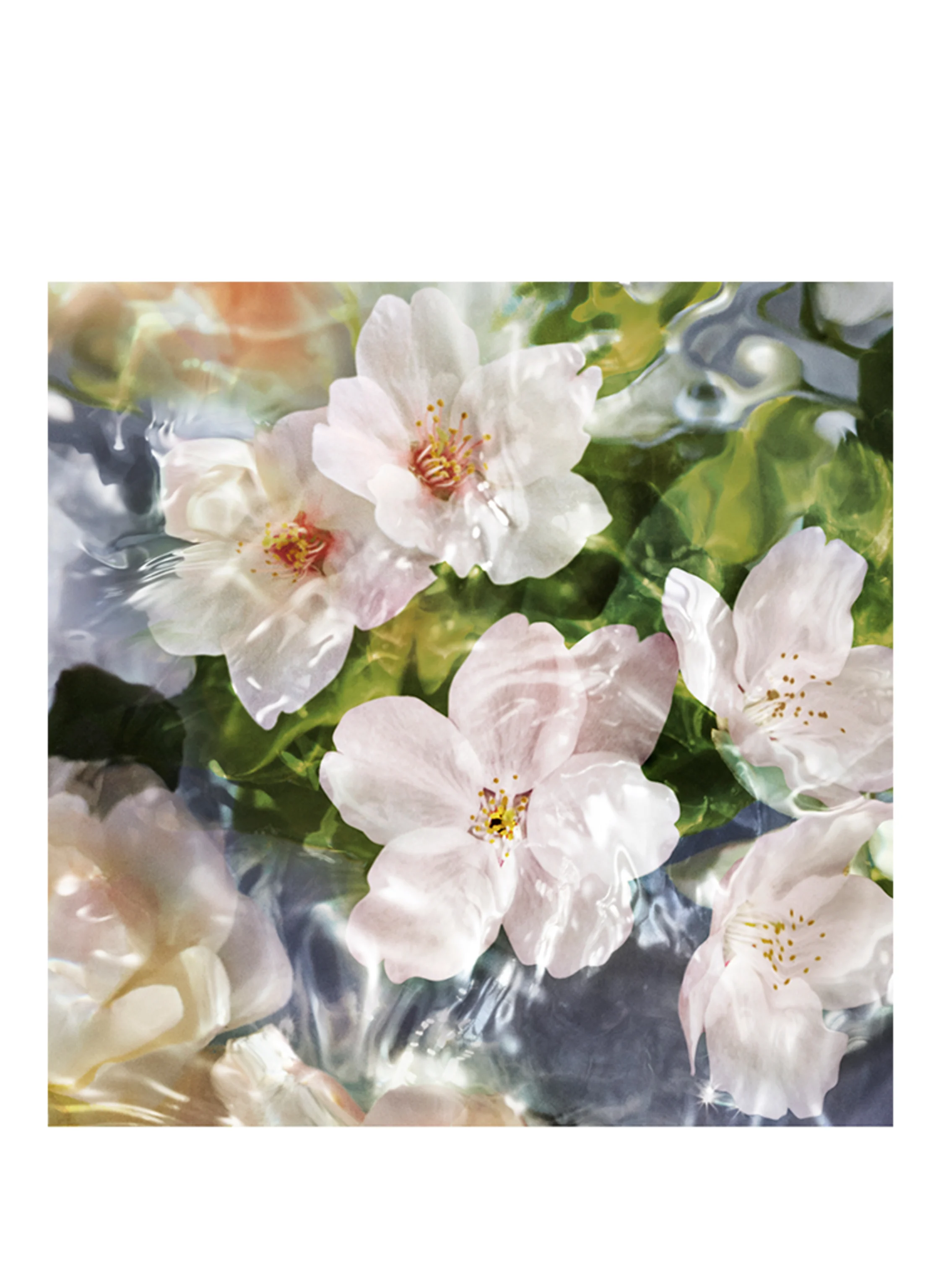 GUERLAIN AQUA ALLEGORIA FLORA CHERRYSIA