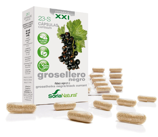 Soria Natural Soria Ribes Nigrum XXI Capsules 30CP