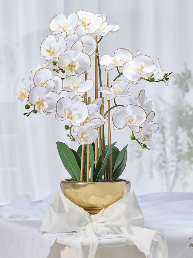 Phalaenopsis in Keramikschale gold 20x9cm