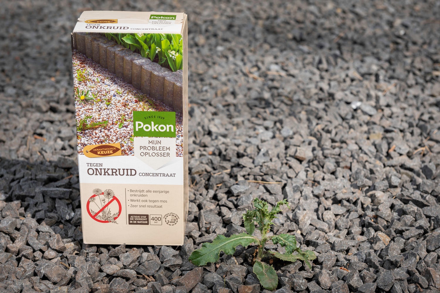 Pokon Tegen Onkruid concentraat 450 ml