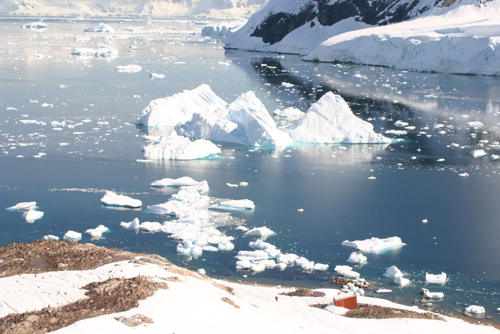 Expeditiecruise Antarctica per m/v Hondius Zie beschrijving