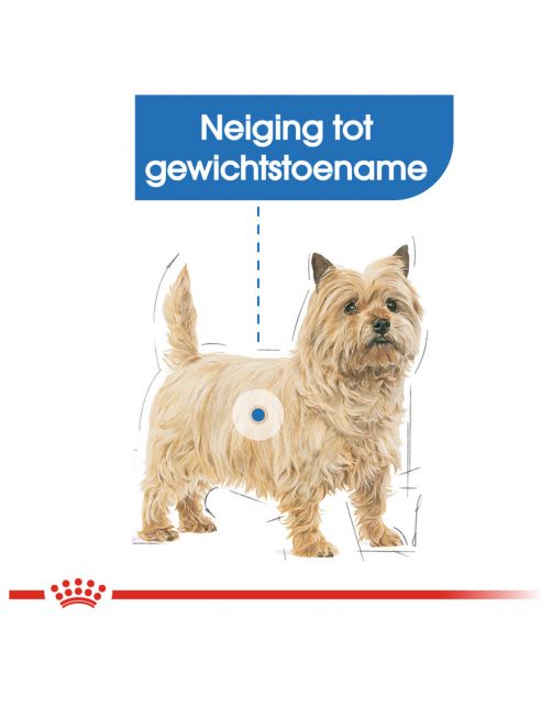 Royal Canin Light Weight Care Natvoer - Hondenvoer - 85 g