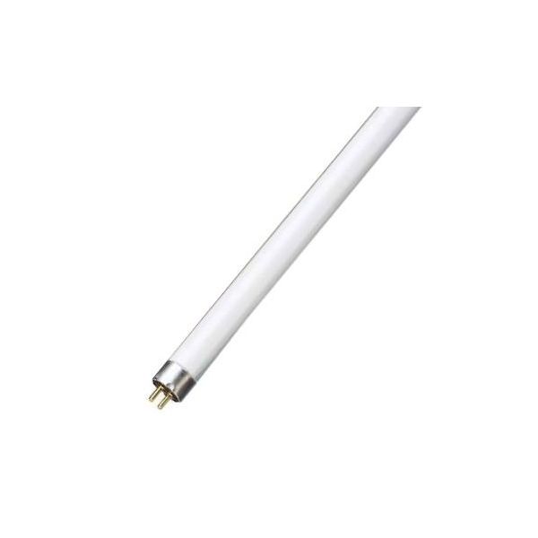 GSC Lampada Fluorescente Ultravioleta Bl (22,5cm) para Mata-moscas T5 6W - T5-6W-BL