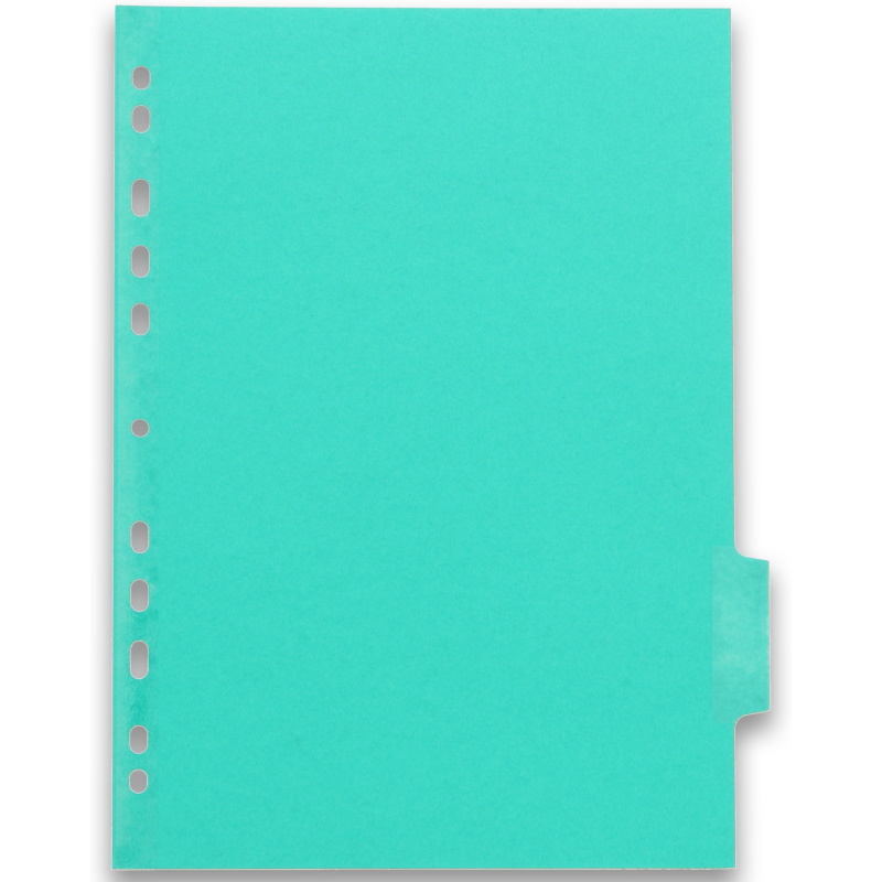 Intercalaires neutres A4 6 positions carte forte 225g assorti