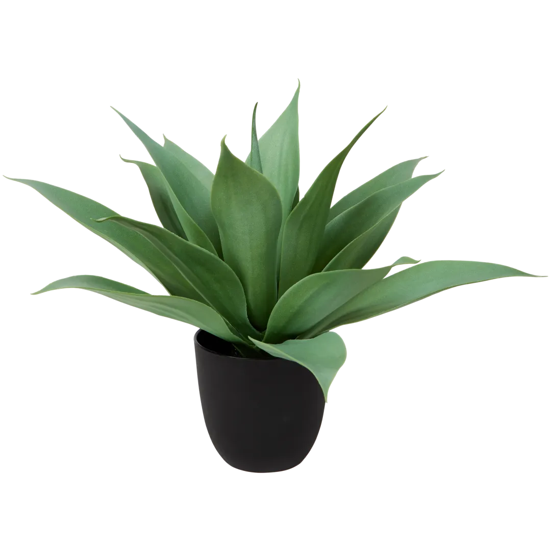 Agave artificiel