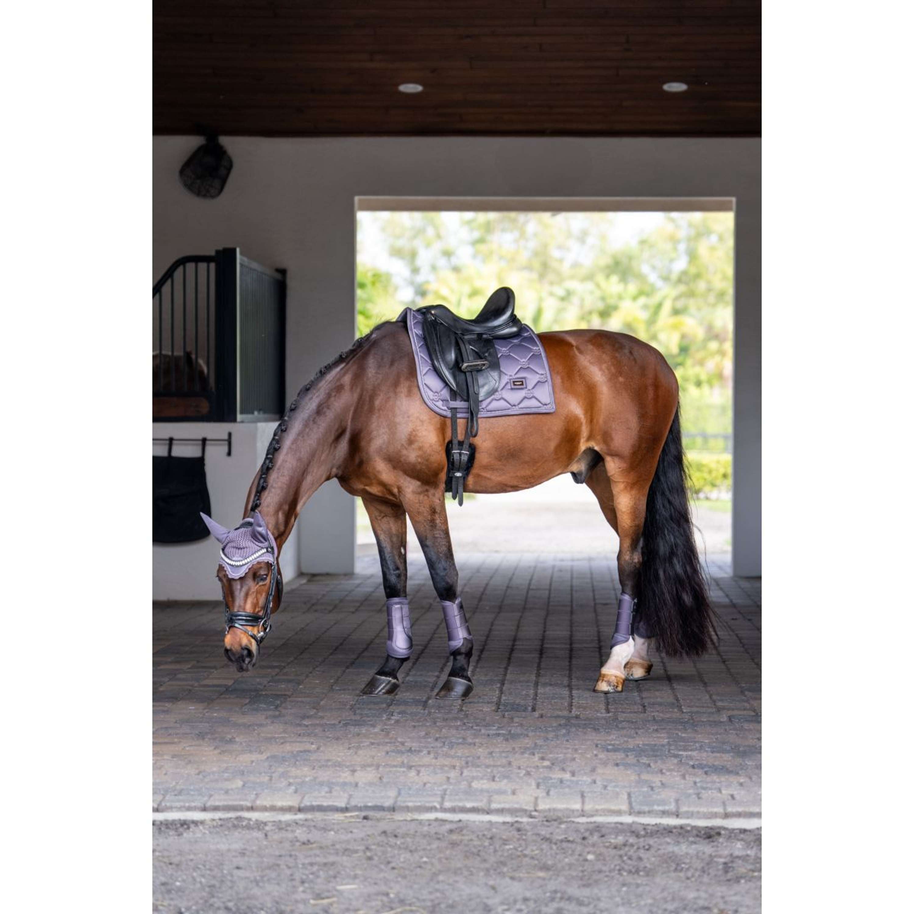 Equestrian Stockholm Zadeldekje Dressuur Dark Violet