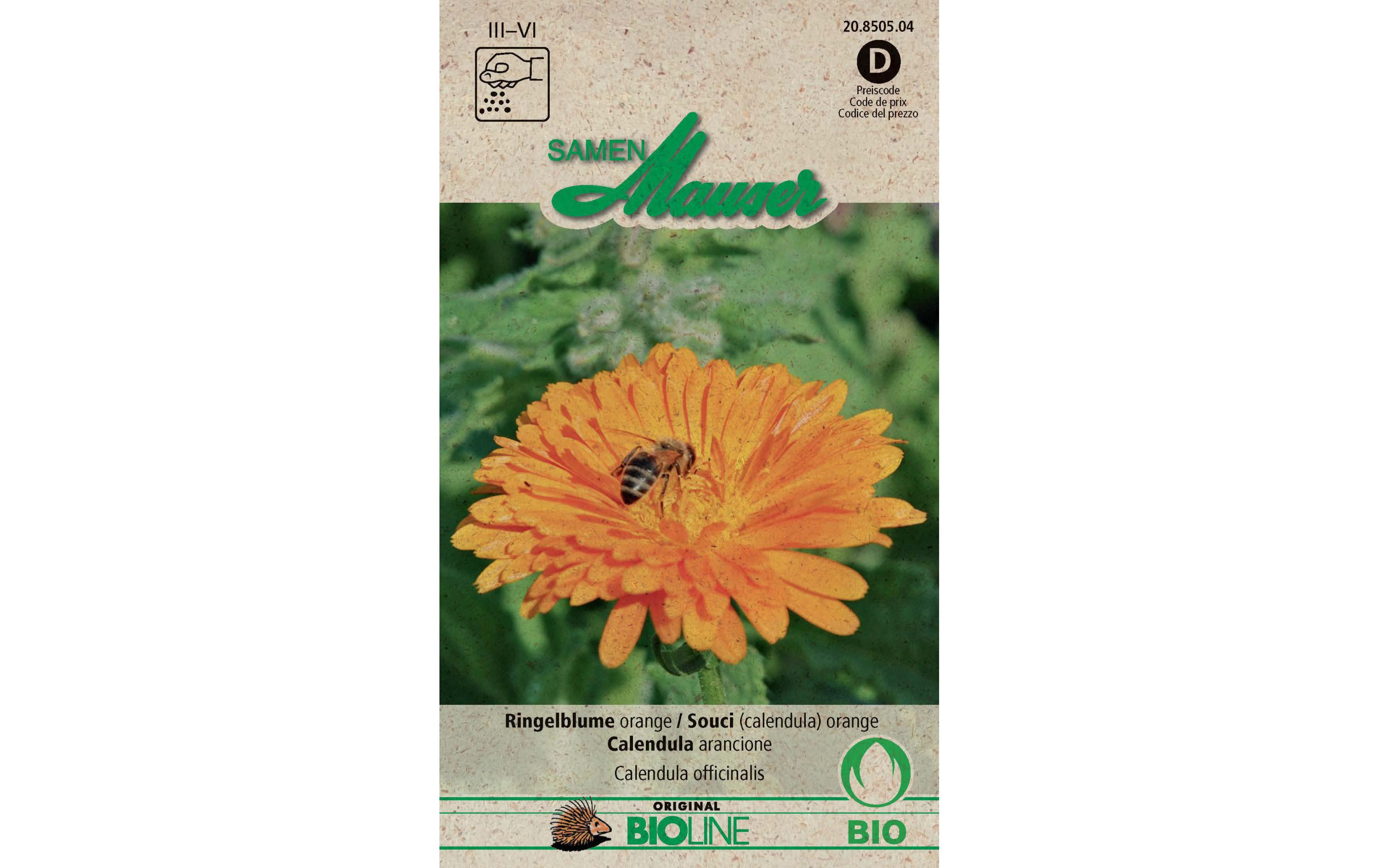 Saatgut Ringelblume OrangeBlumensamen